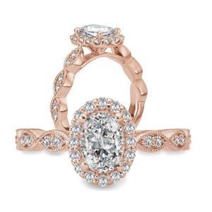 j olivers collections 